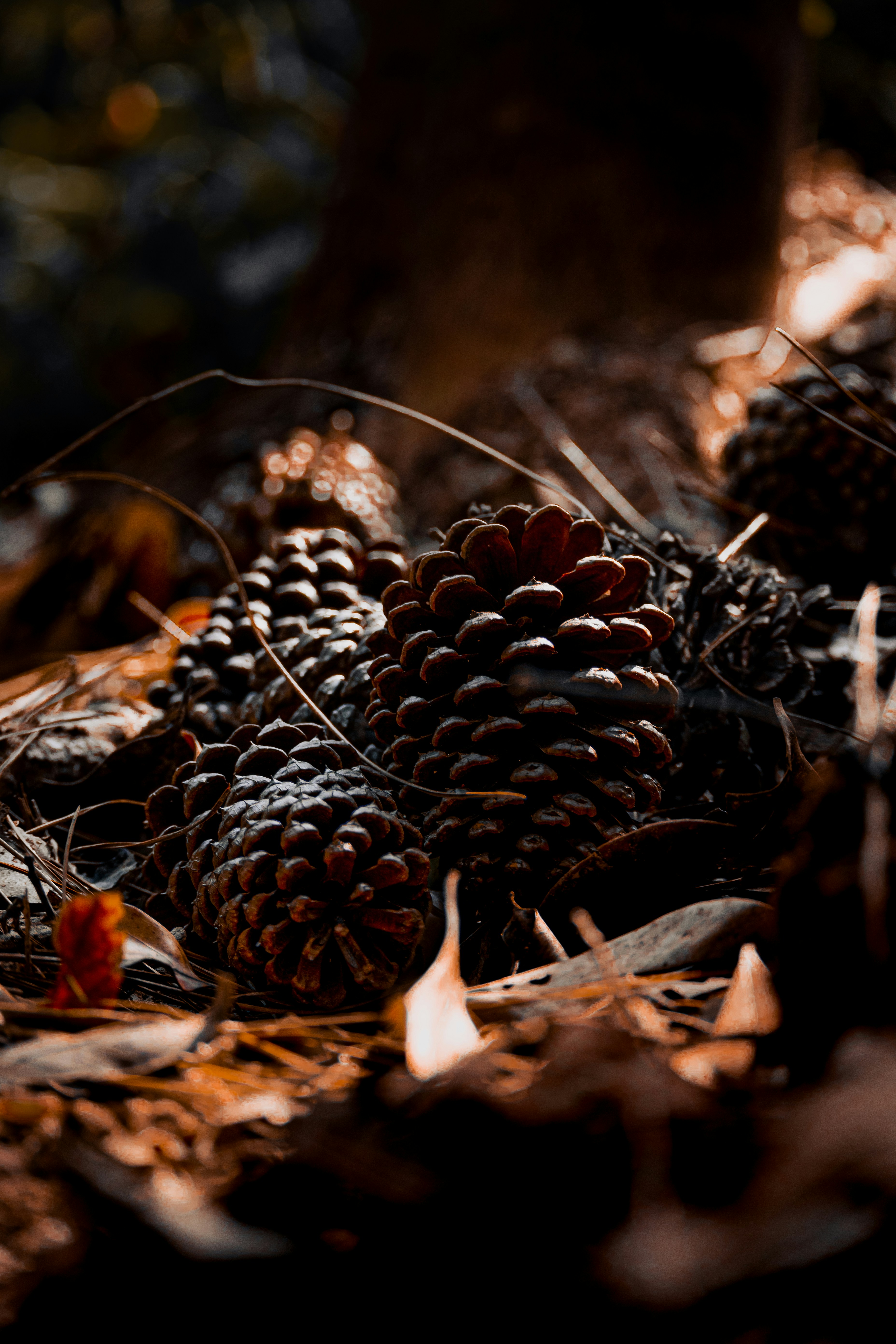 Photo by thomasion