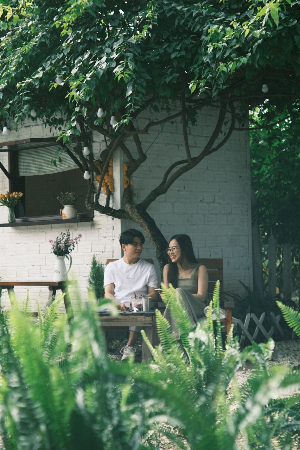 a man and a woman sitting on a bench under a tree