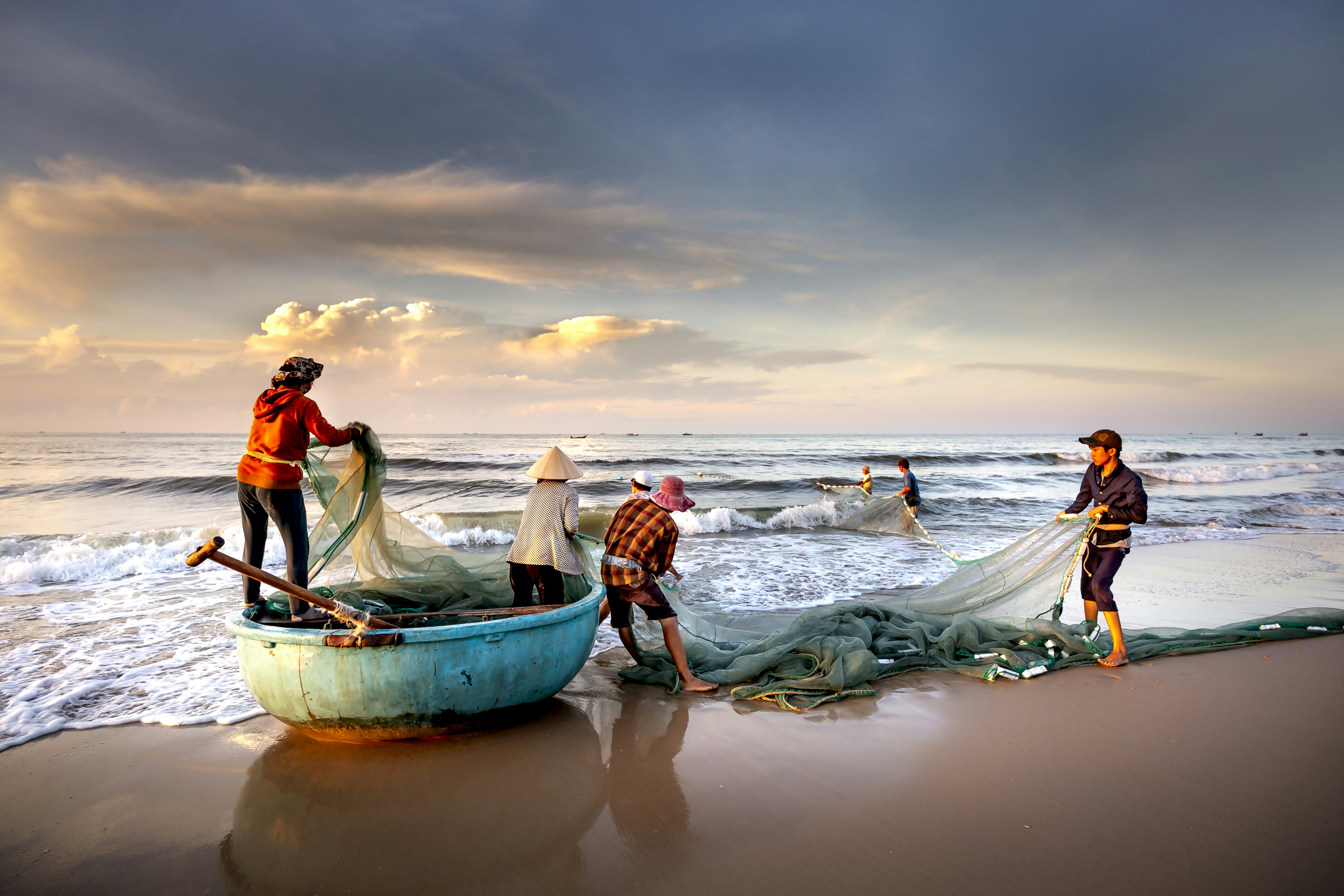 Korean fisherman on a wooden boat pulling dashima kelp from cold Pacific water at dawn