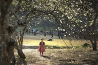 A young child in traditional attire stands in the foreground surrounded by trees. In the background, a group of people are gathered, possibly engaging in leisure activities. The sunlight filters through the branches, creating a serene and warm atmosphere.