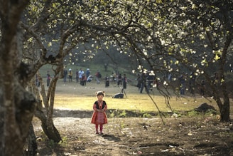 A young child in traditional attire stands in the foreground surrounded by trees. In the background, a group of people are gathered, possibly engaging in leisure activities. The sunlight filters through the branches, creating a serene and warm atmosphere.