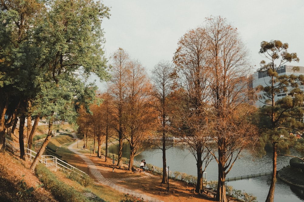 a man riding a bike down a dirt road next to a river