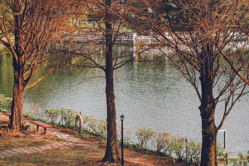 una panchina del parco accanto a uno specchio d'acqua