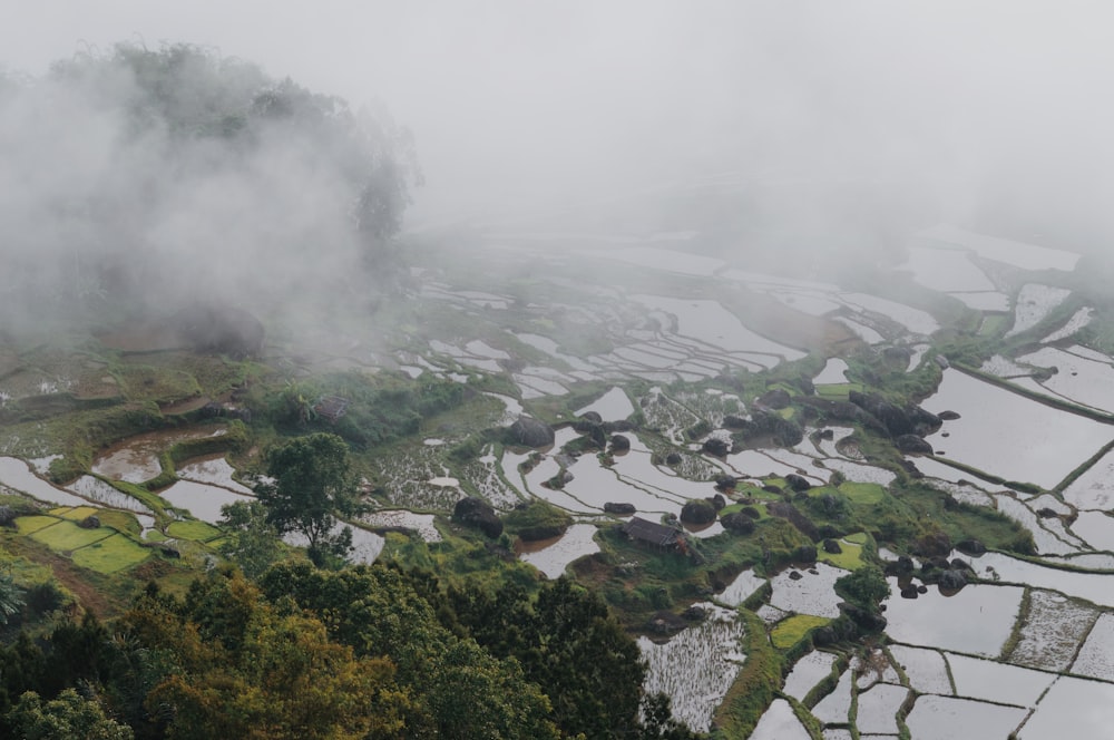 an aerial view of a rice field in the mountains