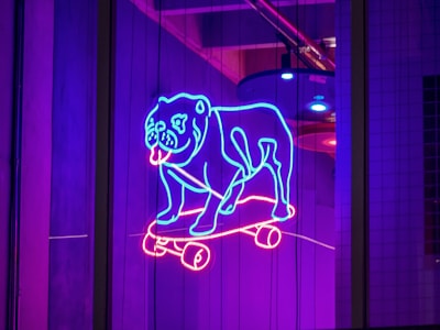 A neon light image displays a stylized outline of a bulldog riding a skateboard. The neon colors are predominantly blue for the bulldog and pink for the skateboard, creating a striking contrast against the dimly lit urban background.
