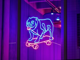 A neon light image displays a stylized outline of a bulldog riding a skateboard. The neon colors are predominantly blue for the bulldog and pink for the skateboard, creating a striking contrast against the dimly lit urban background.