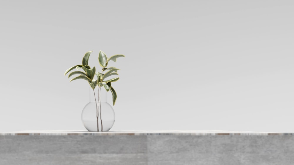 a plant in a vase sitting on a ledge