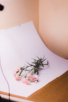 A minimalist bouquet of white lilies and pink carnations set against a clean white background.