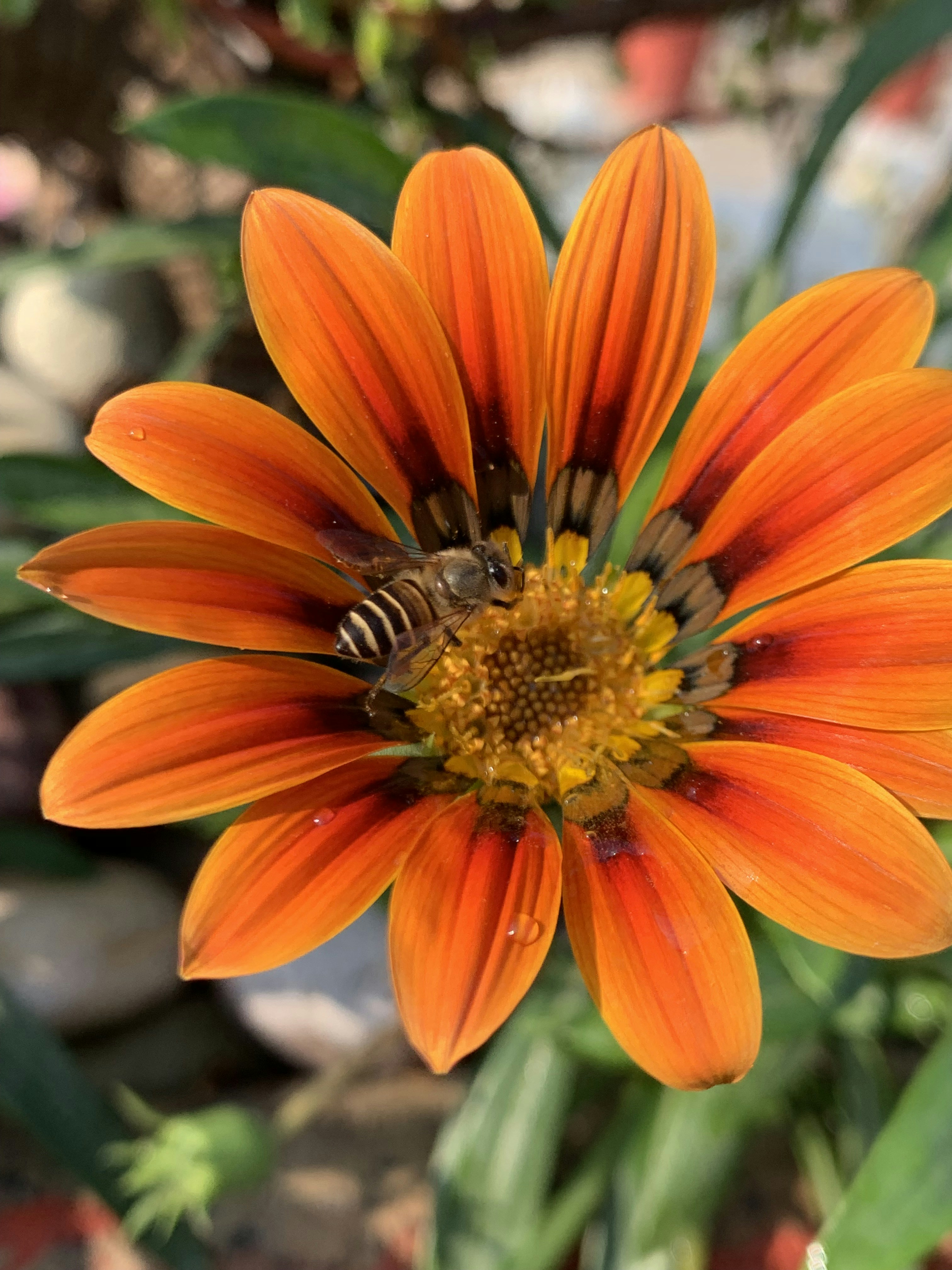 Photo by puneetdogra05