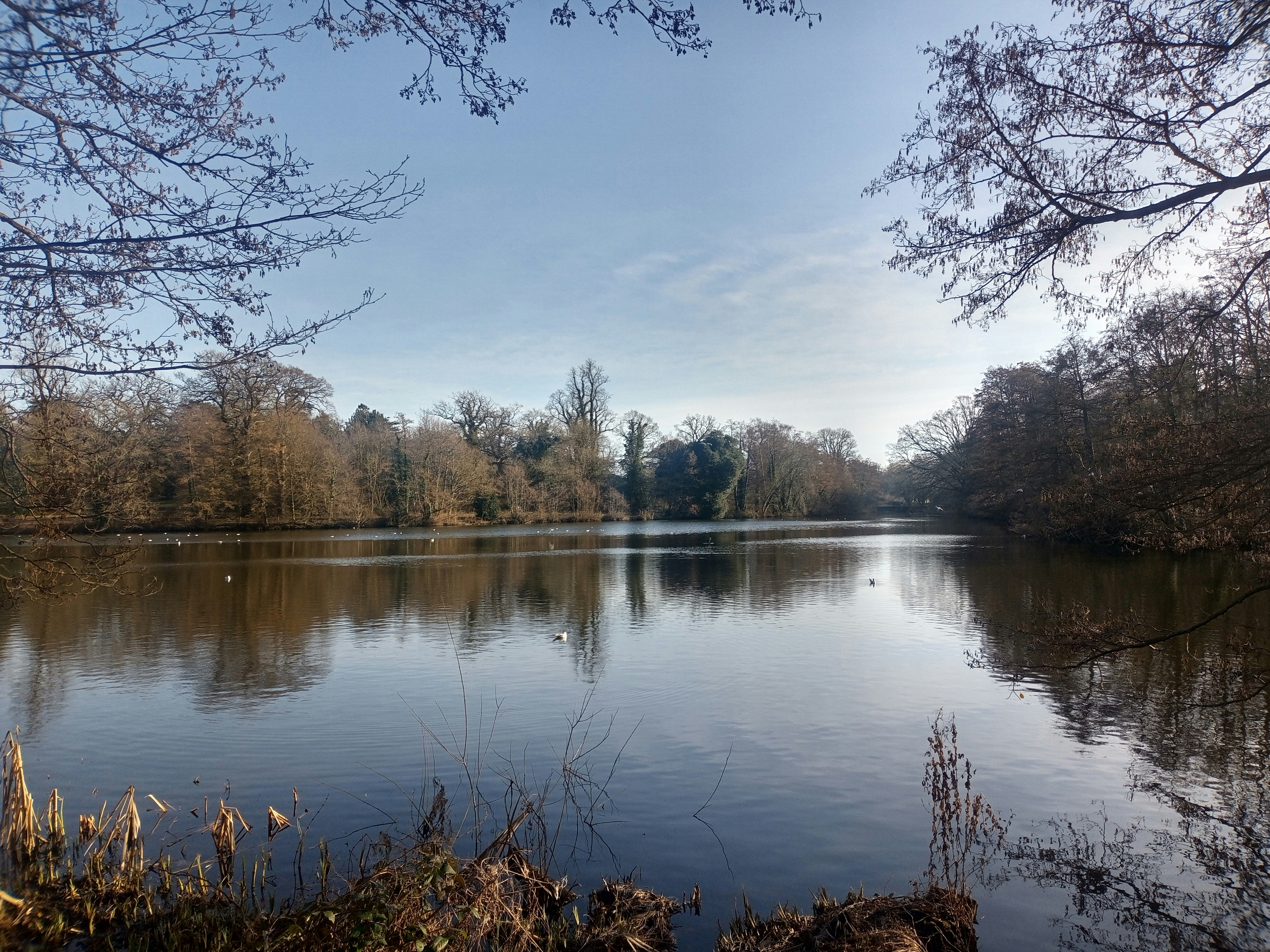 Photo by sambrodzinski21