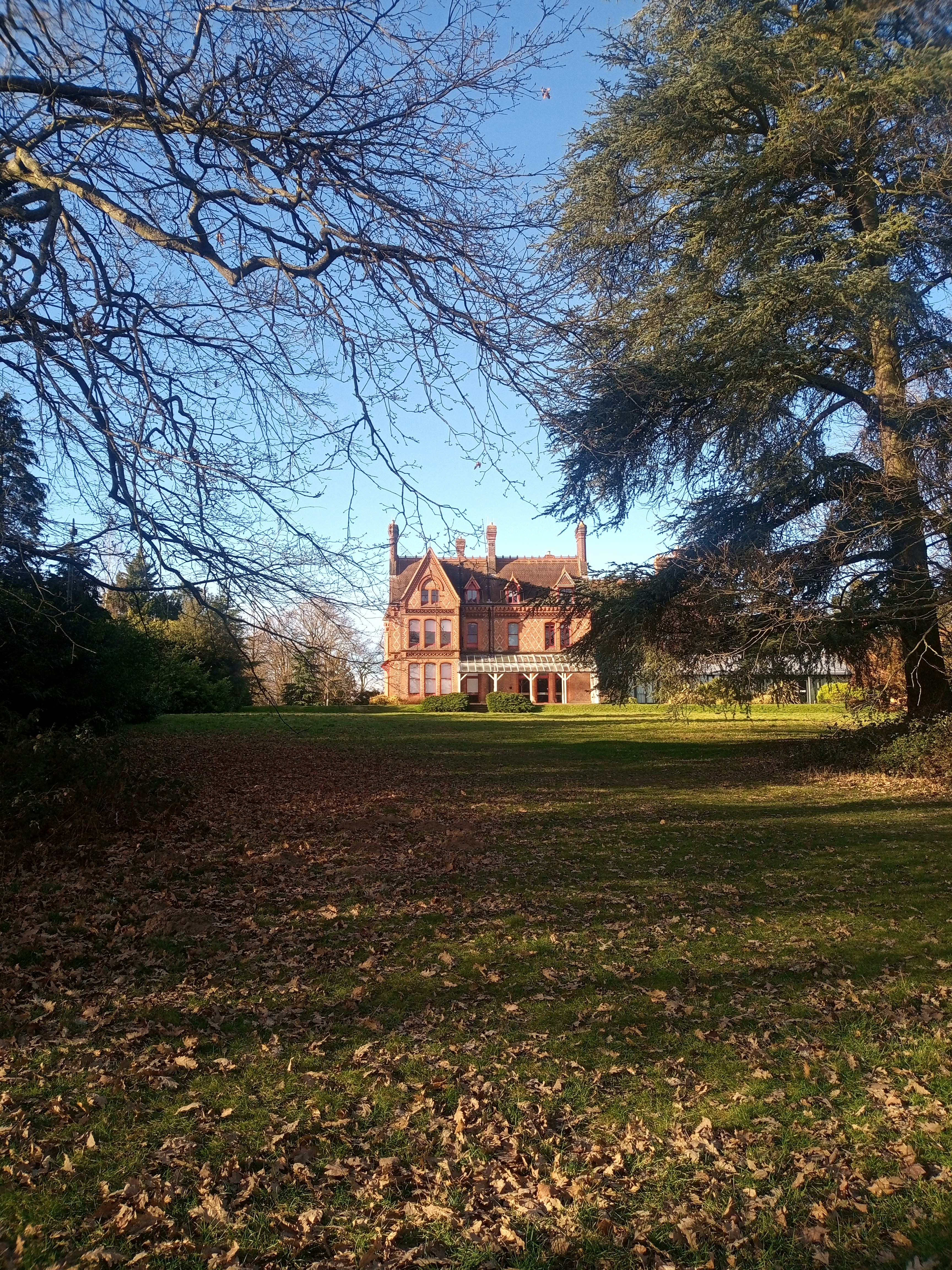 Photo by sambrodzinski21