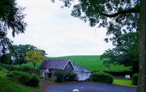 A quaint countryside house with a stone facade and a partial pink extension is surrounded by lush greenery, large trees, and a spacious grassy field. The road in front of the house appears to be paved, with well-maintained bushes bordering the property. The sky overhead is overcast.