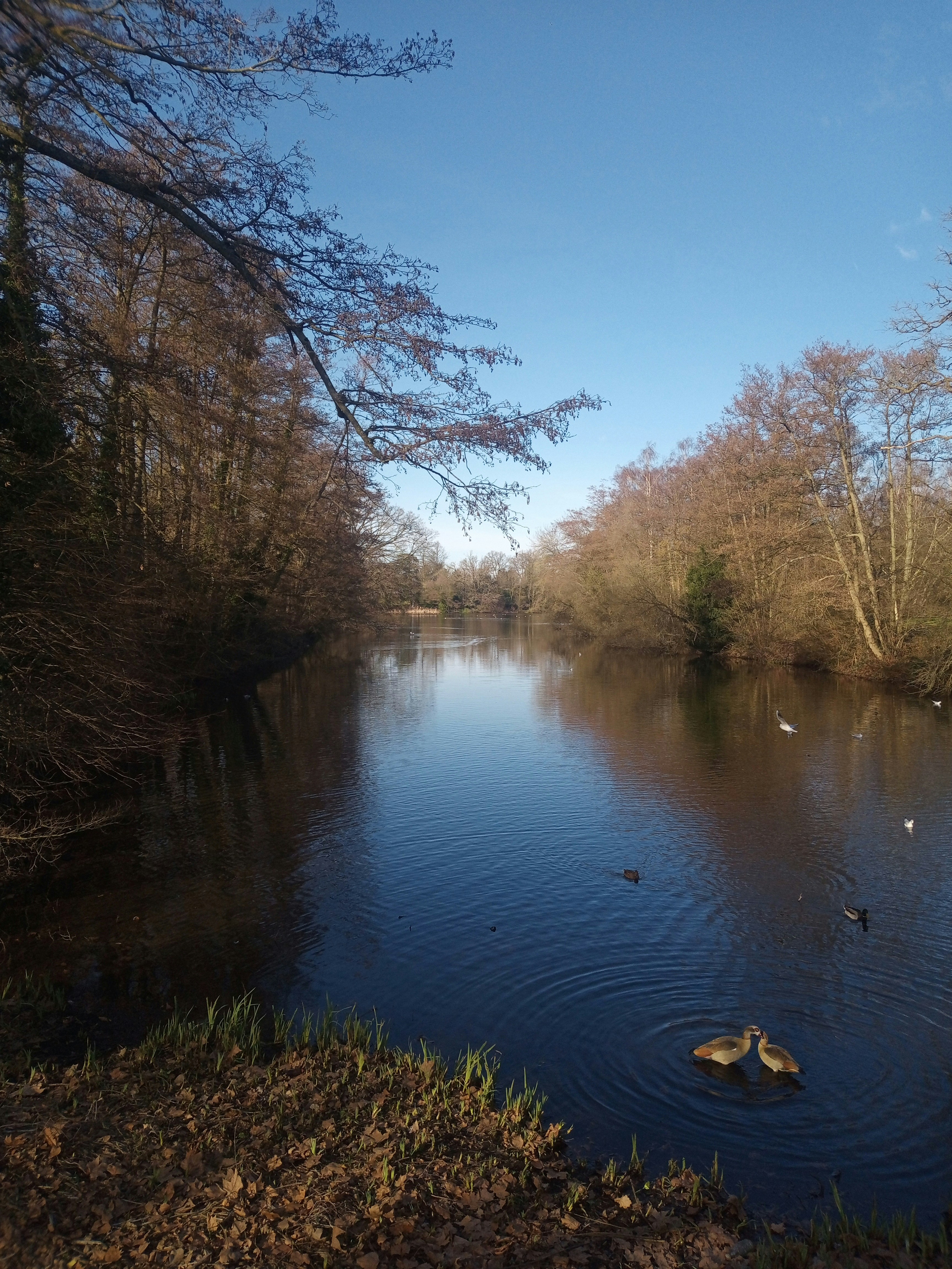 Photo by sambrodzinski21