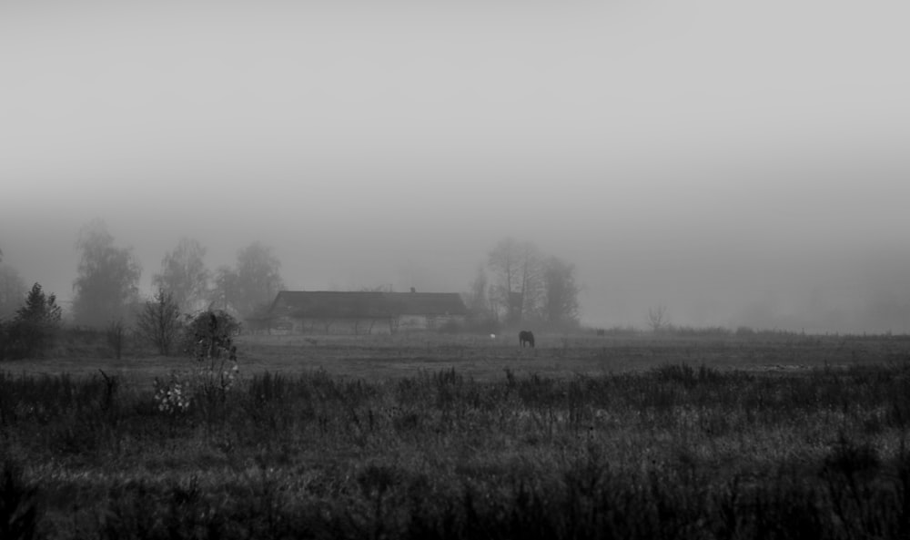 a black and white photo of a foggy field