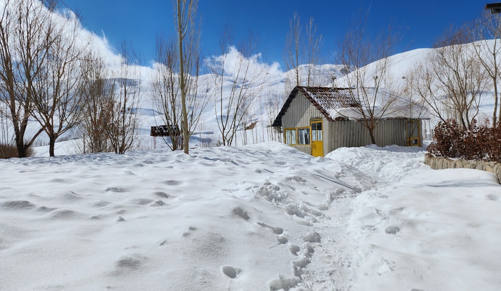 a snow covered road with a small house in the background