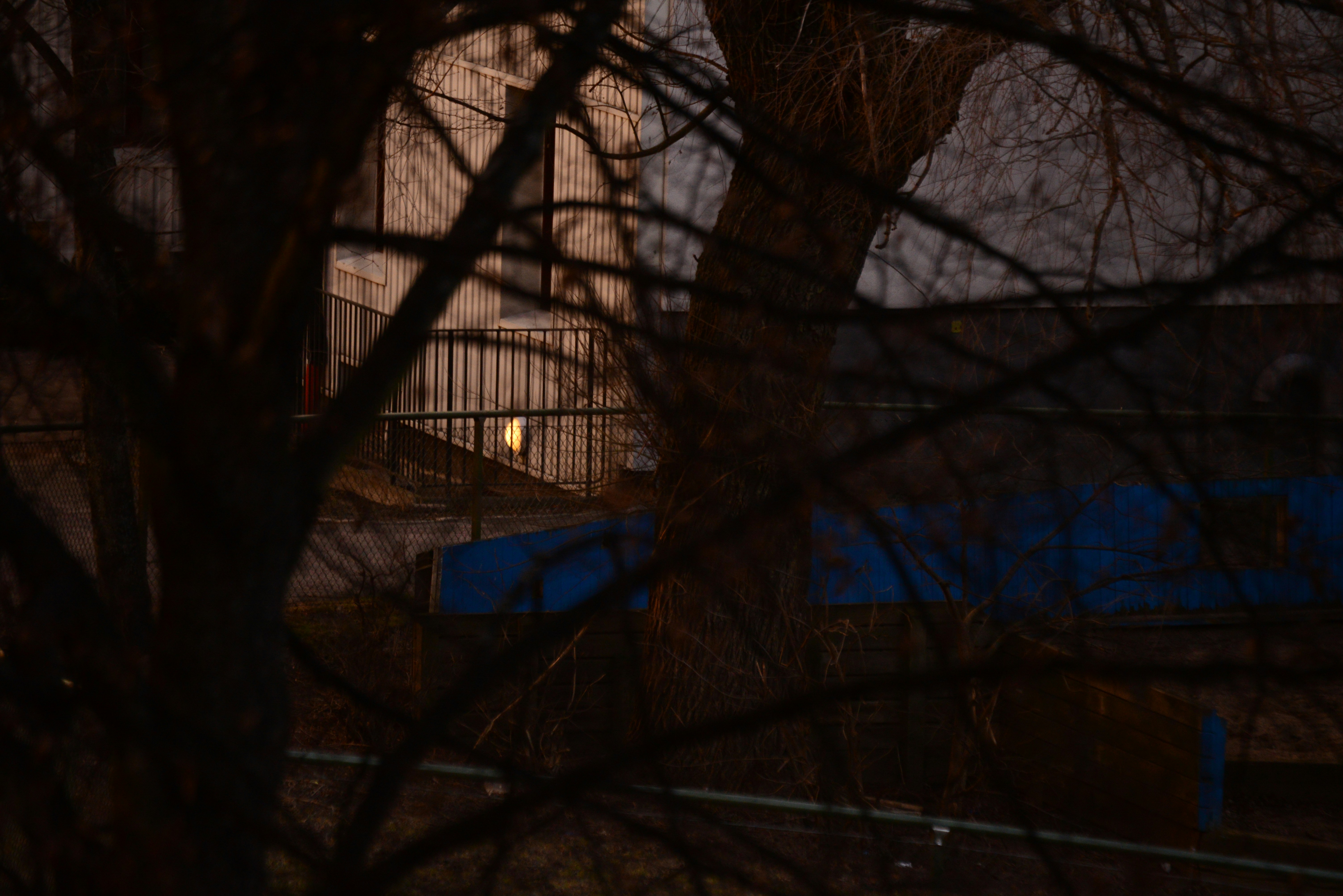 Photo by annarekstad