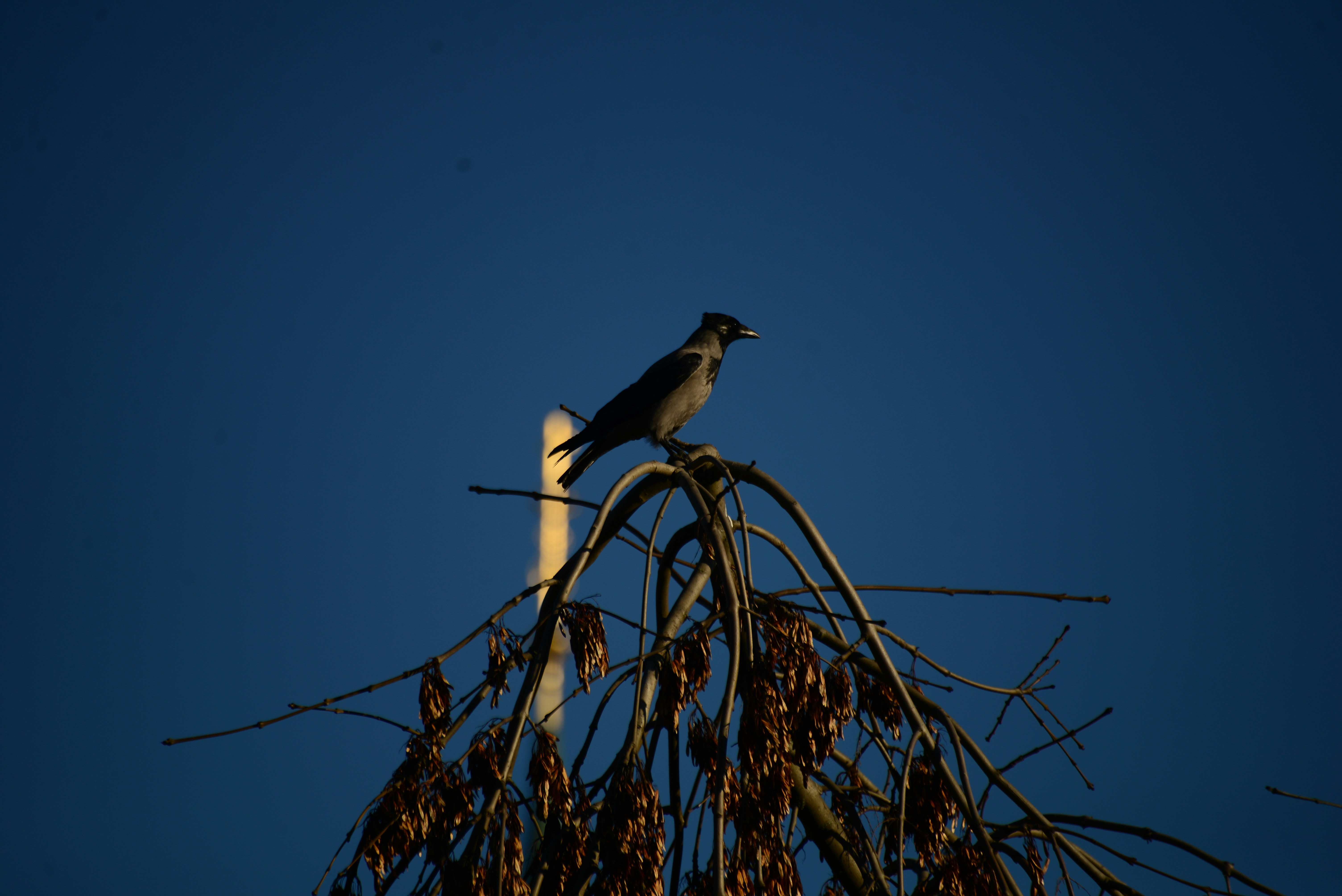 Photo by annarekstad