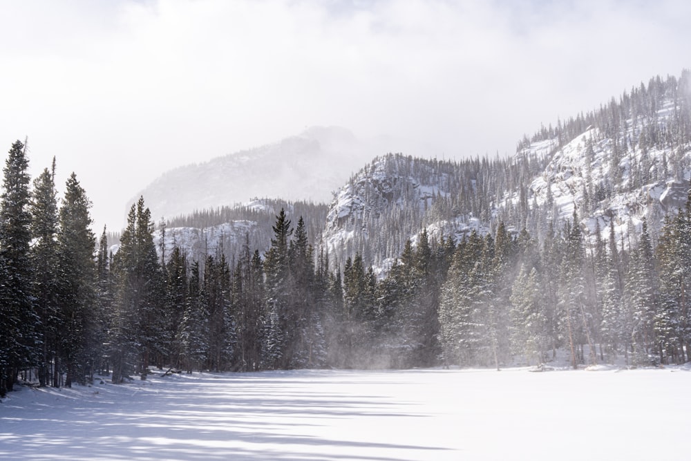 a snow covered field with trees and a mountain in the background