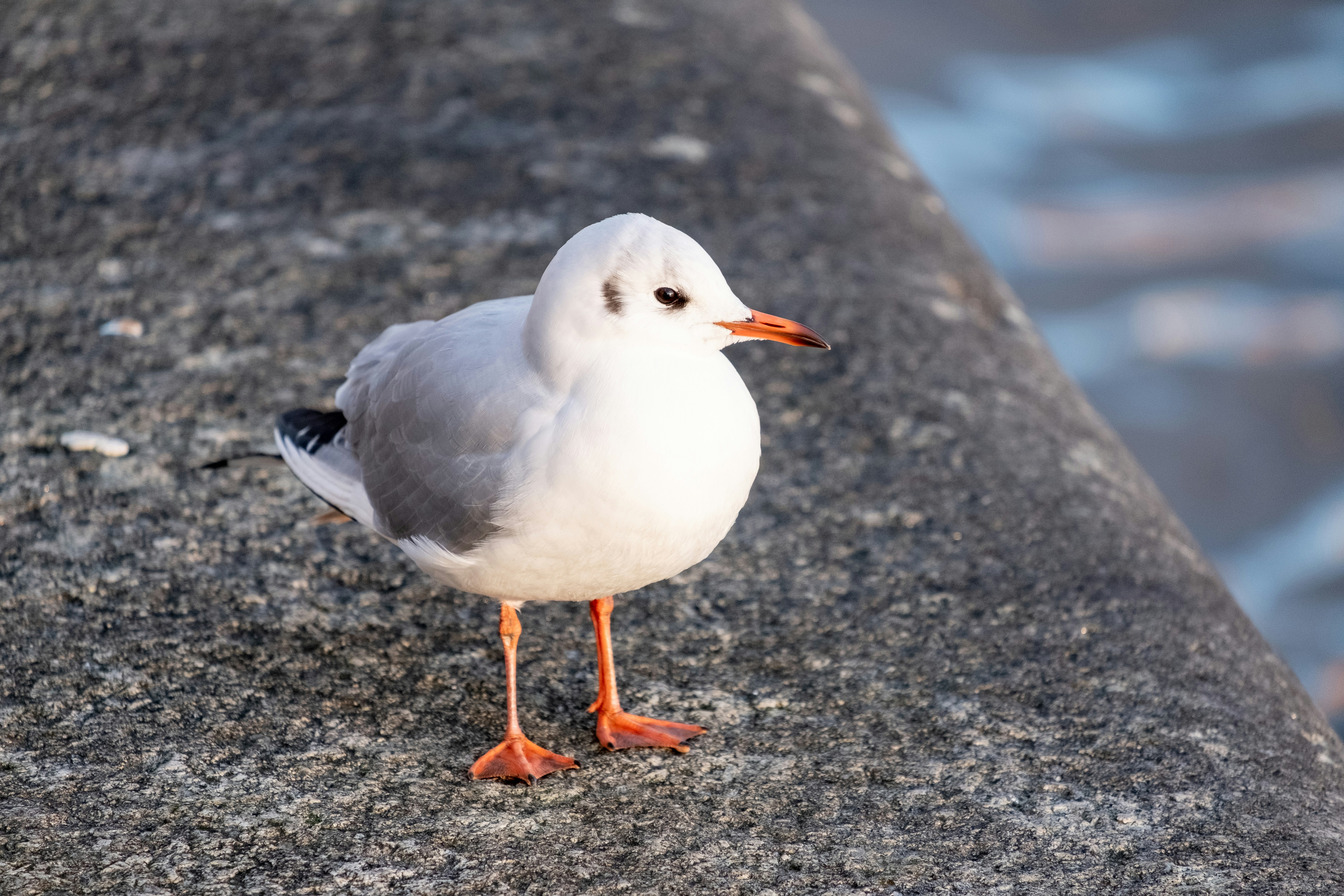 Photo by synthetic_enigma