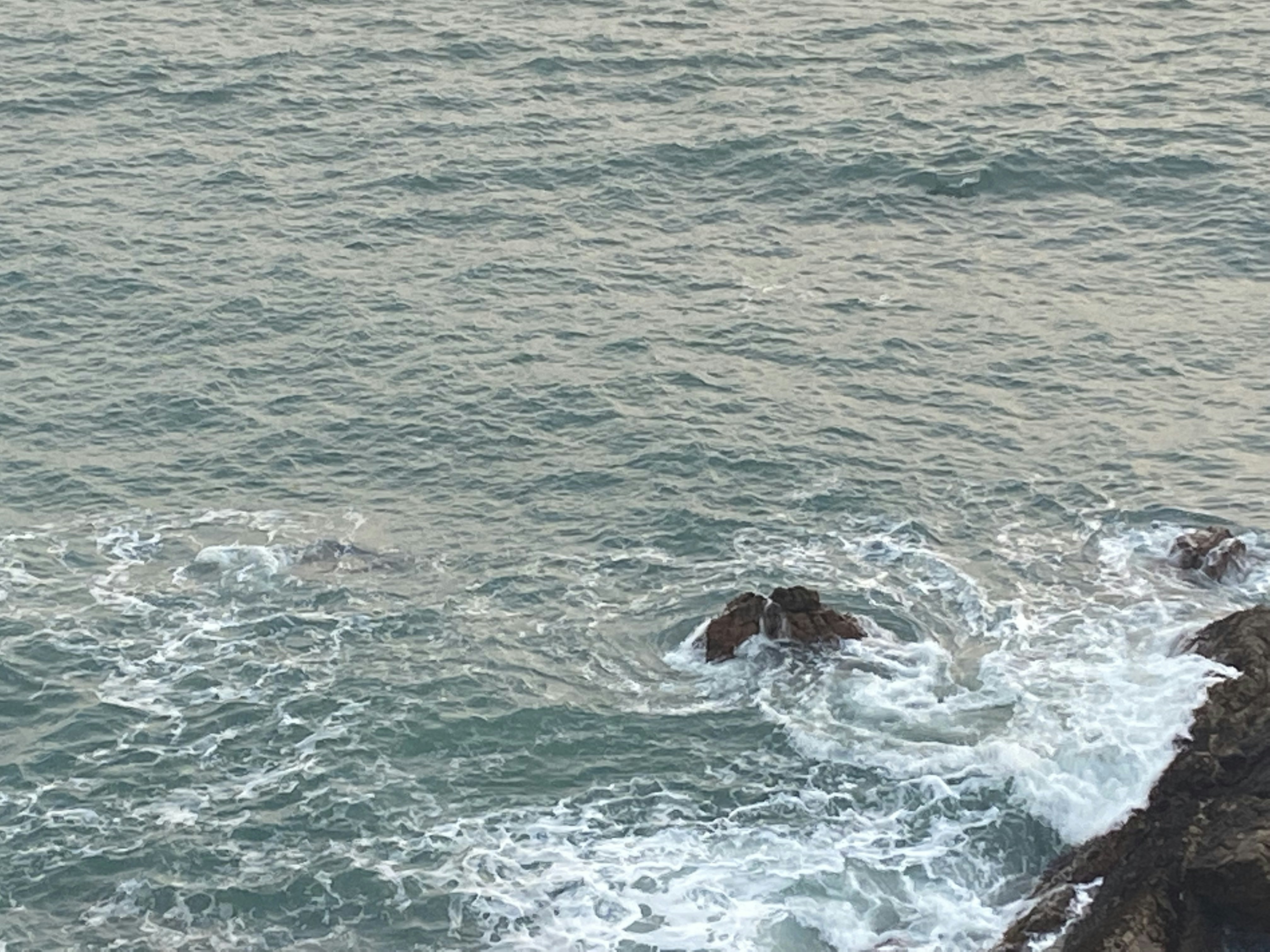 Photo by shadhinmamun