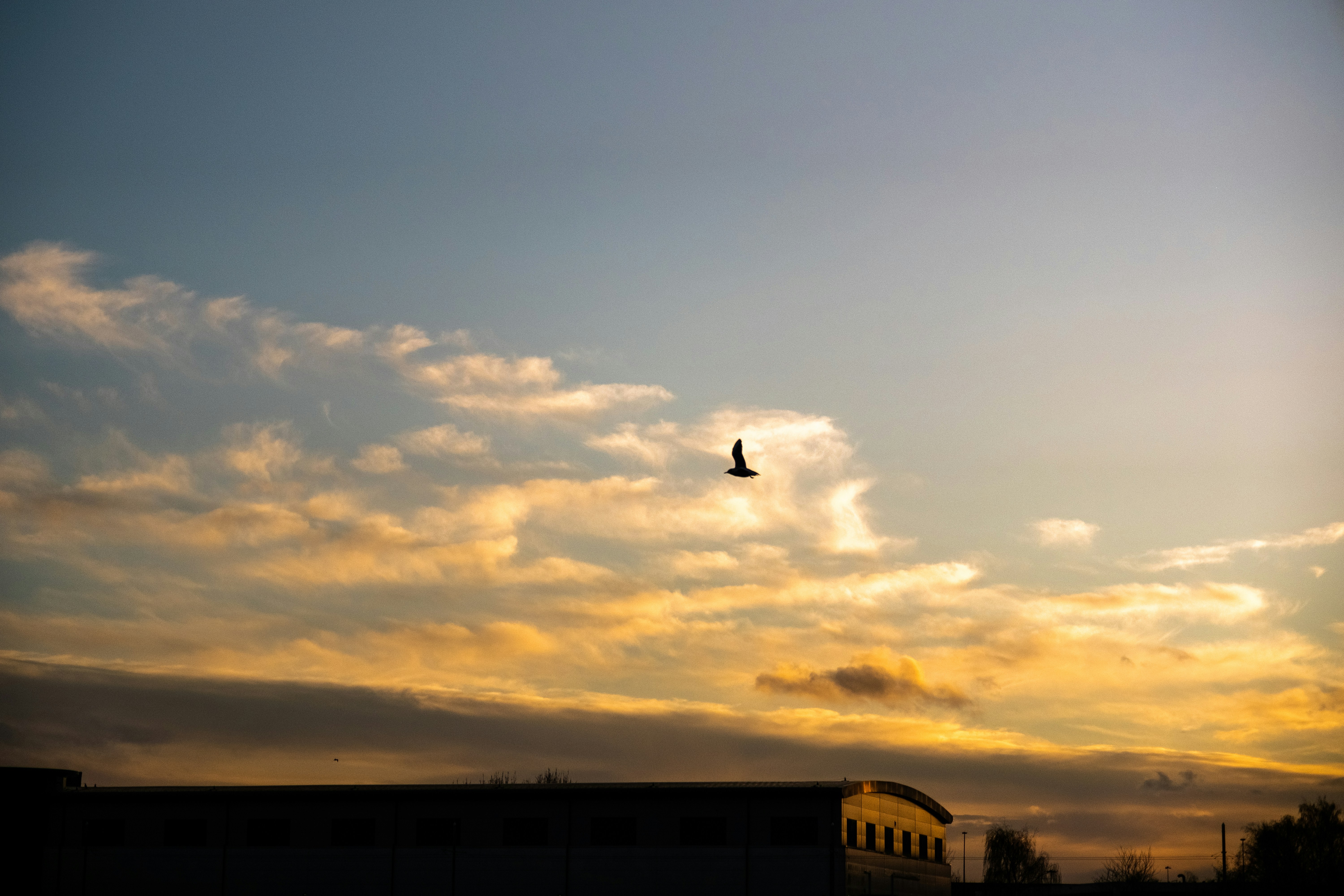 Photo by synthetic_enigma