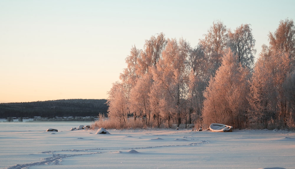 a boat sitting on top of a snow covered field