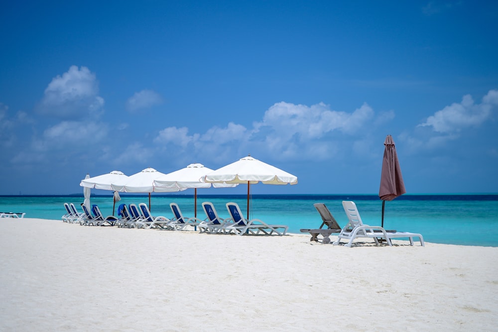 beach chairs and umbrellas are lined up on the beach