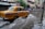 A yellow taxi drives through a flooded street, splashing water as it goes. The surrounding buildings have closed shutters, and several people in the background navigate the floodwaters. The scene appears to be in an urban setting, with signage visible on the buildings.
