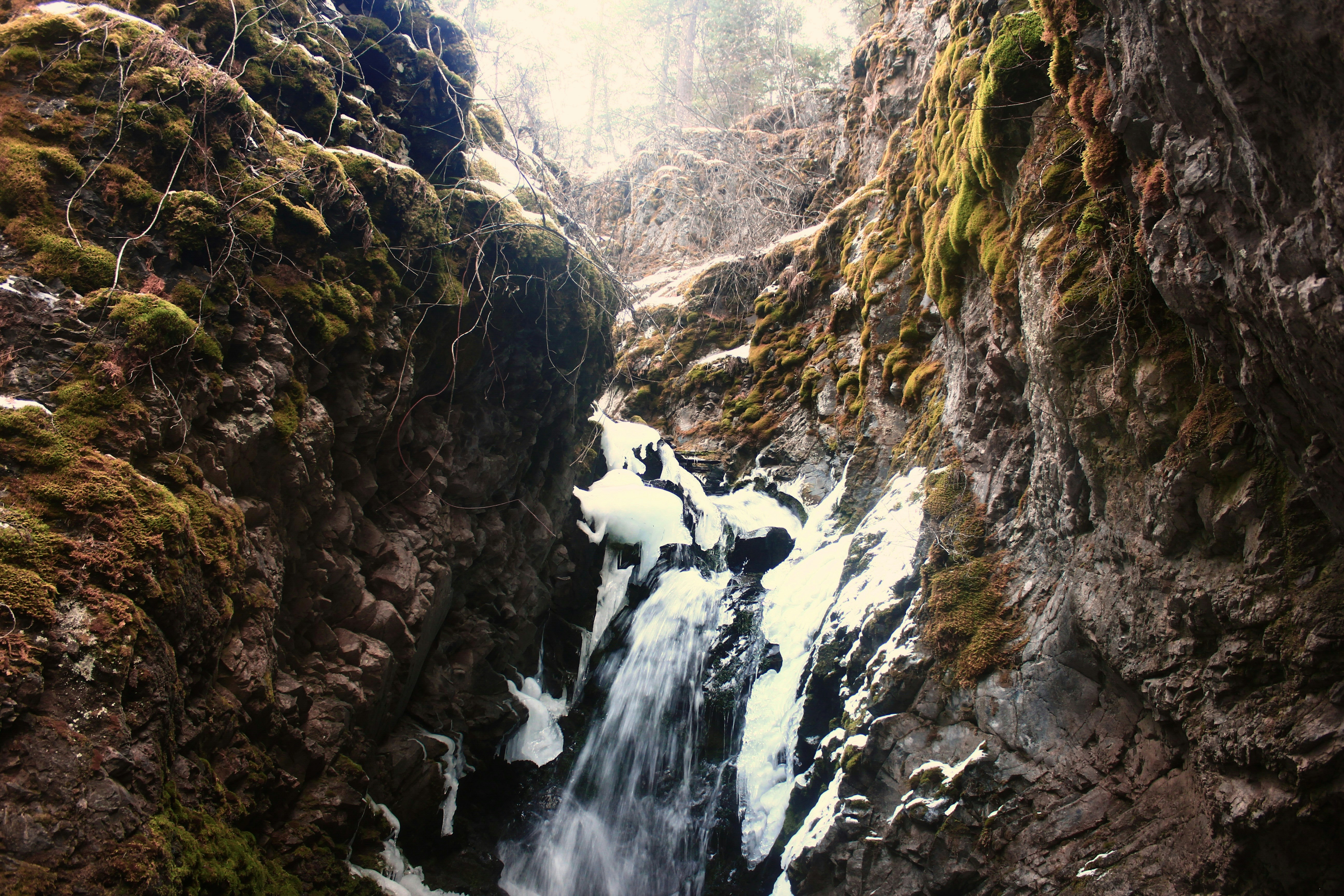 Photo by dcanadianphotographer