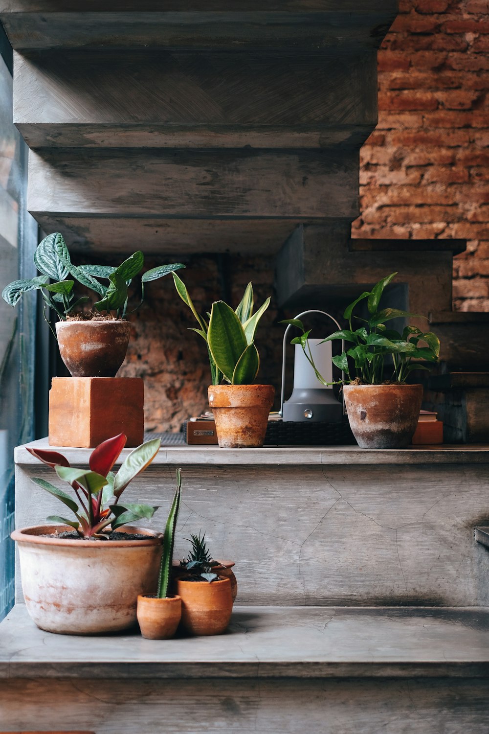 a group of potted plants sitting on top of a set of stairs