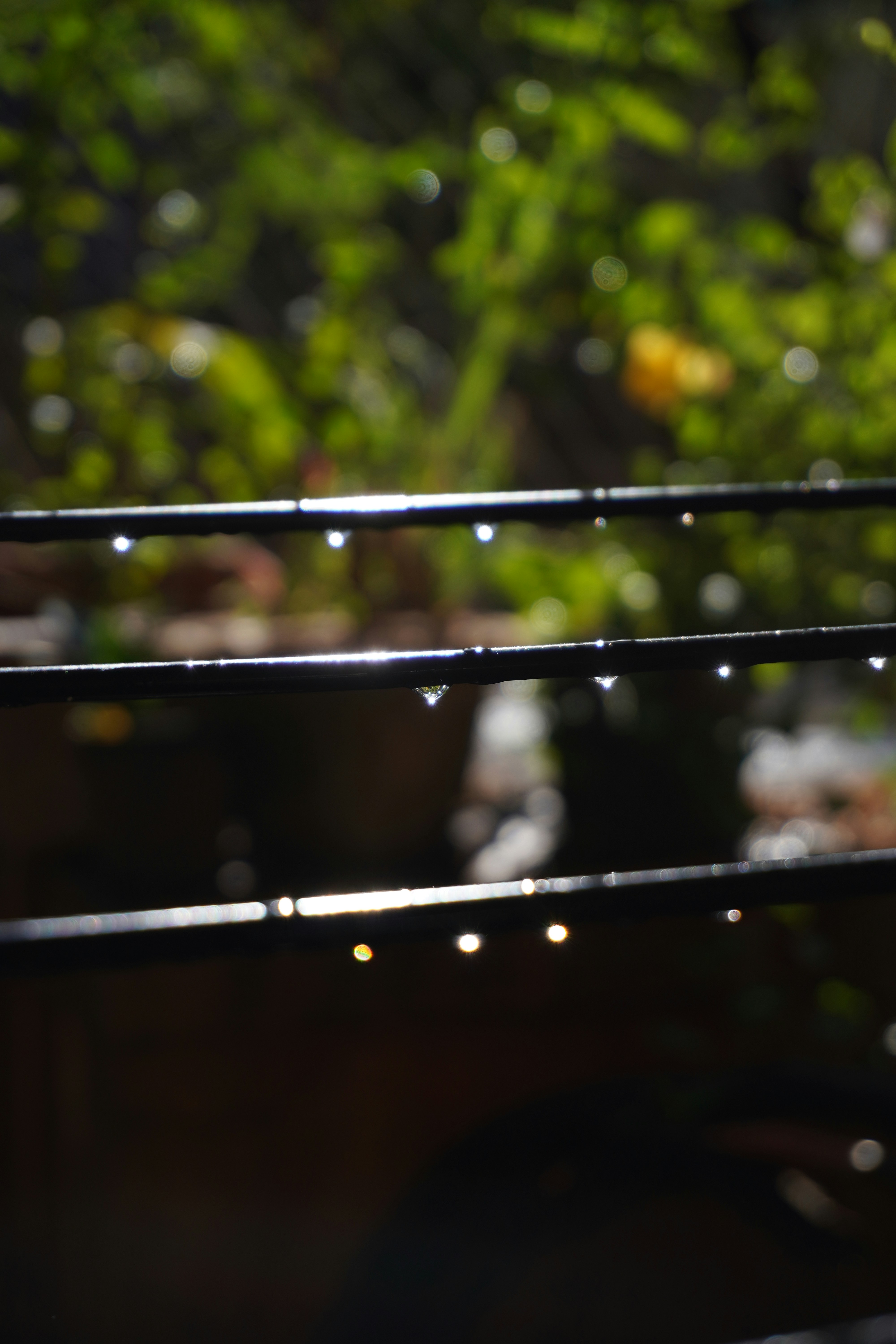 Photo by ambrosegraphfx