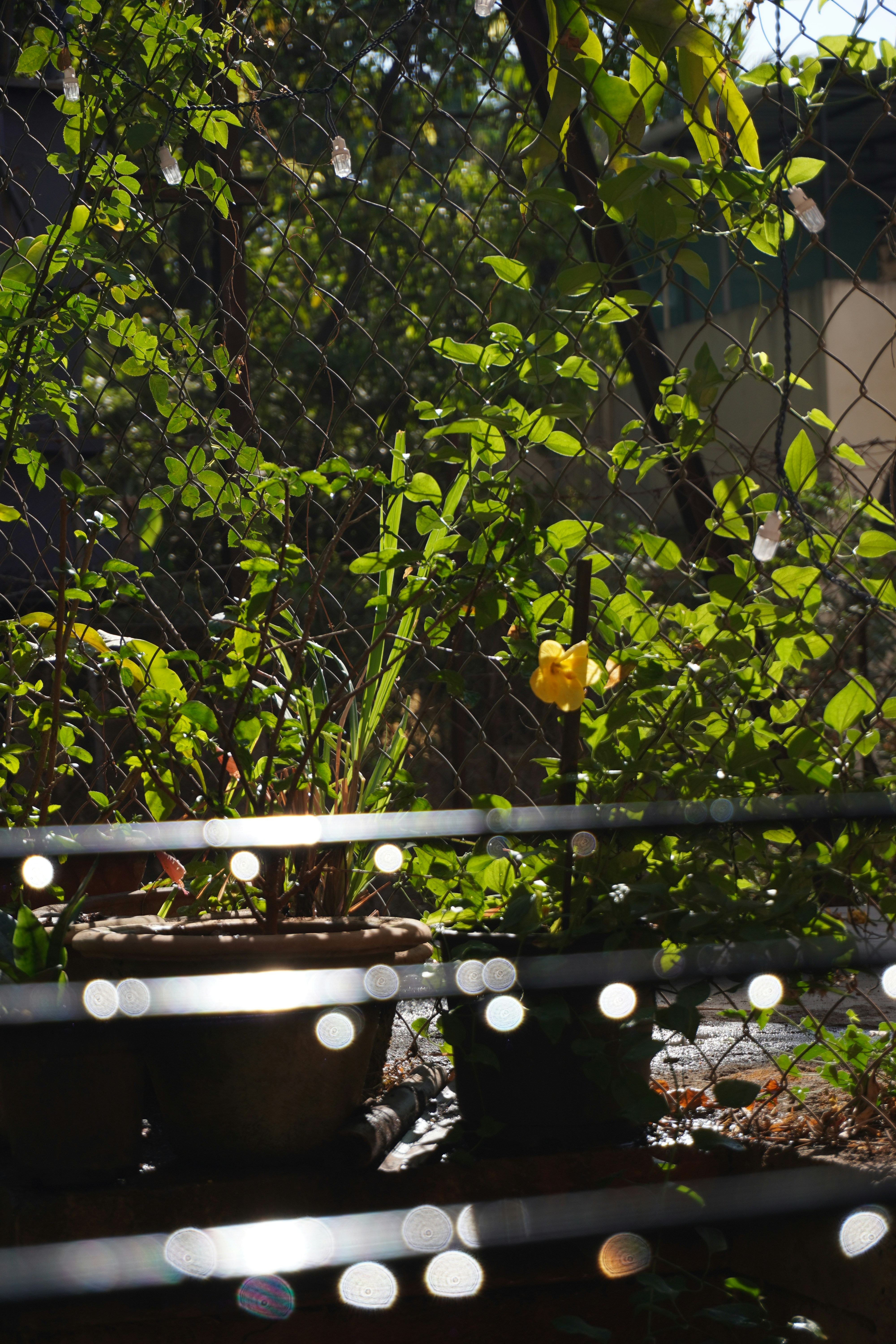 Photo by ambrosegraphfx