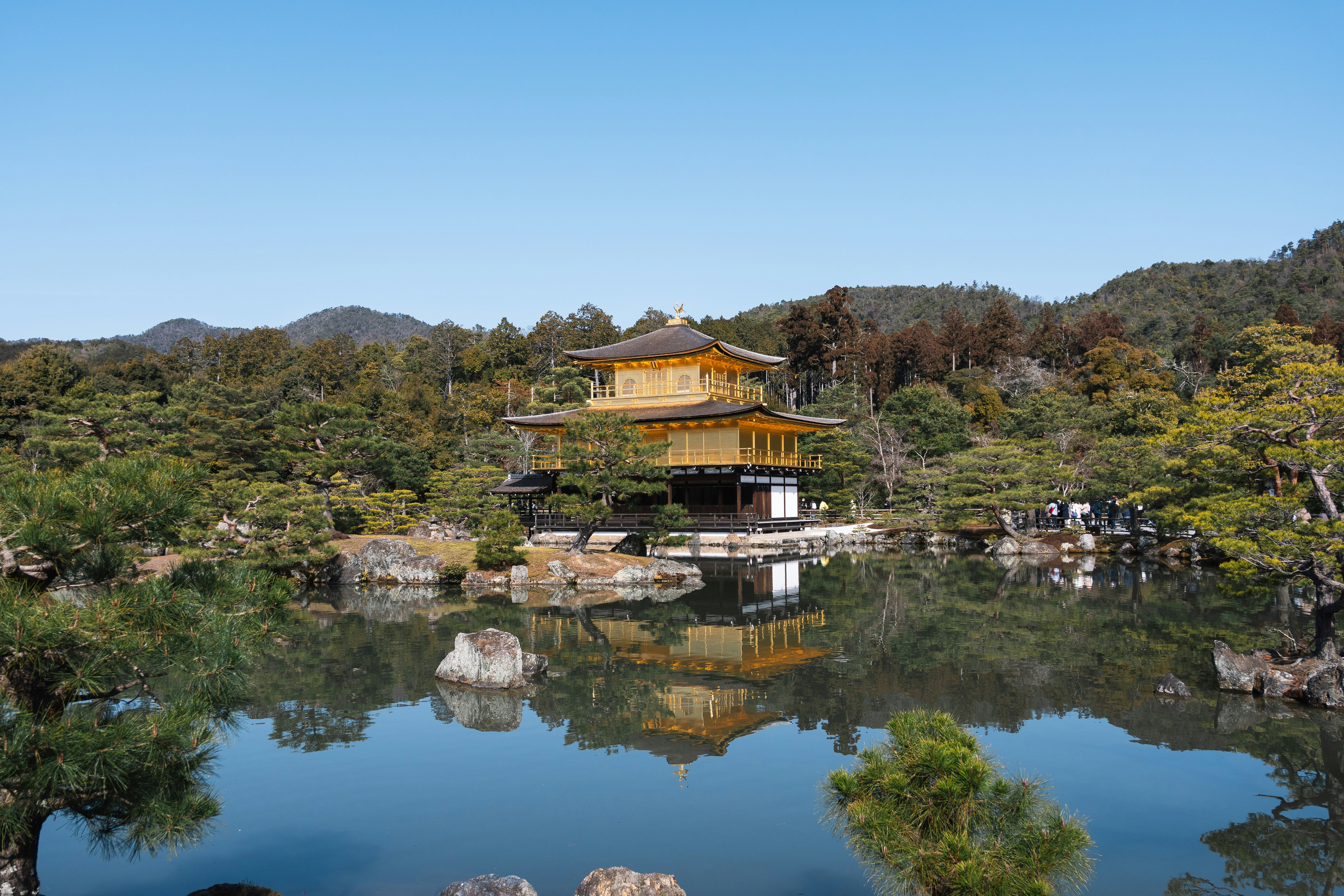 a small pond with a pagoda in the middle of it
