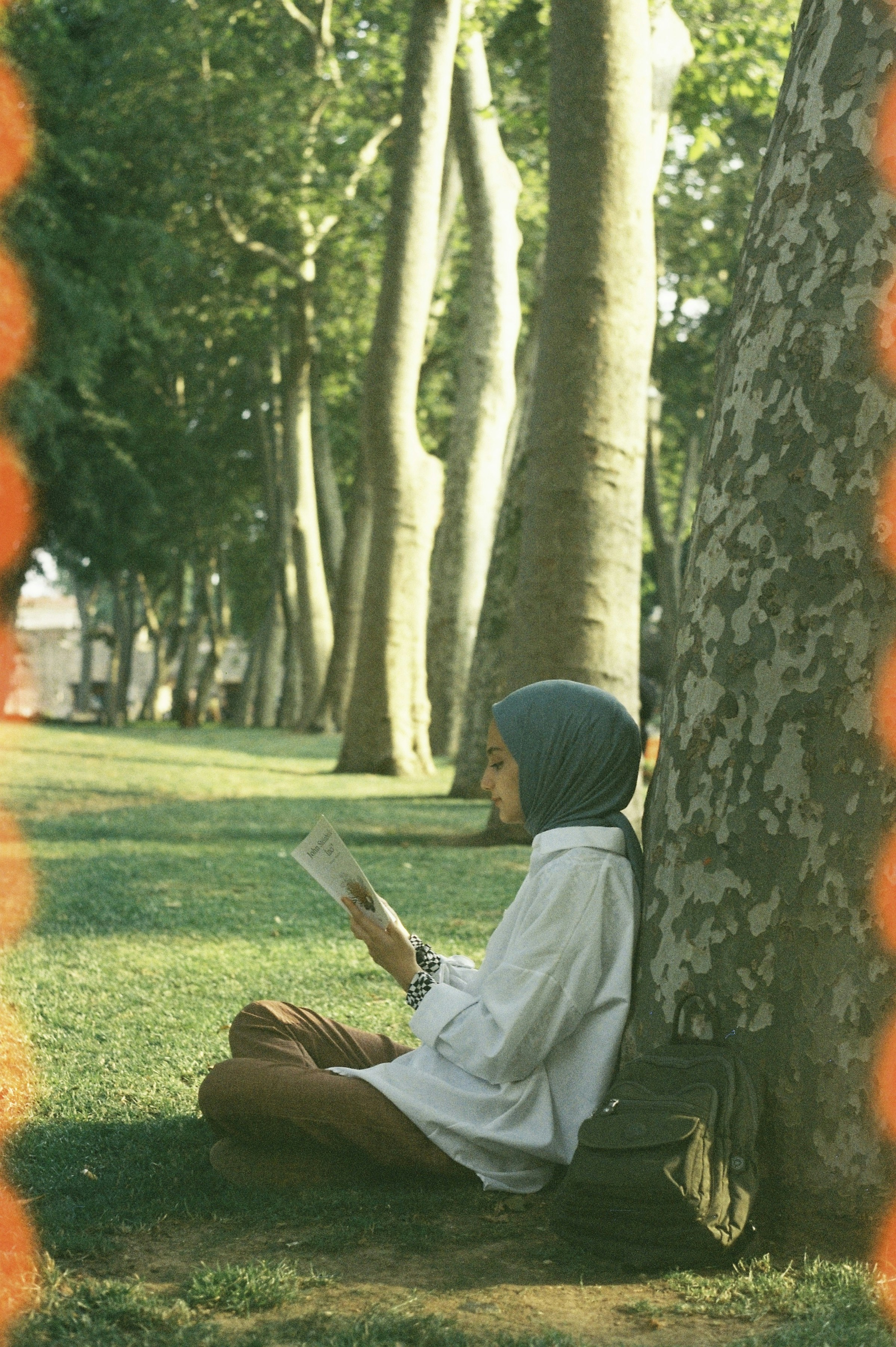a person sitting under a tree reading a book