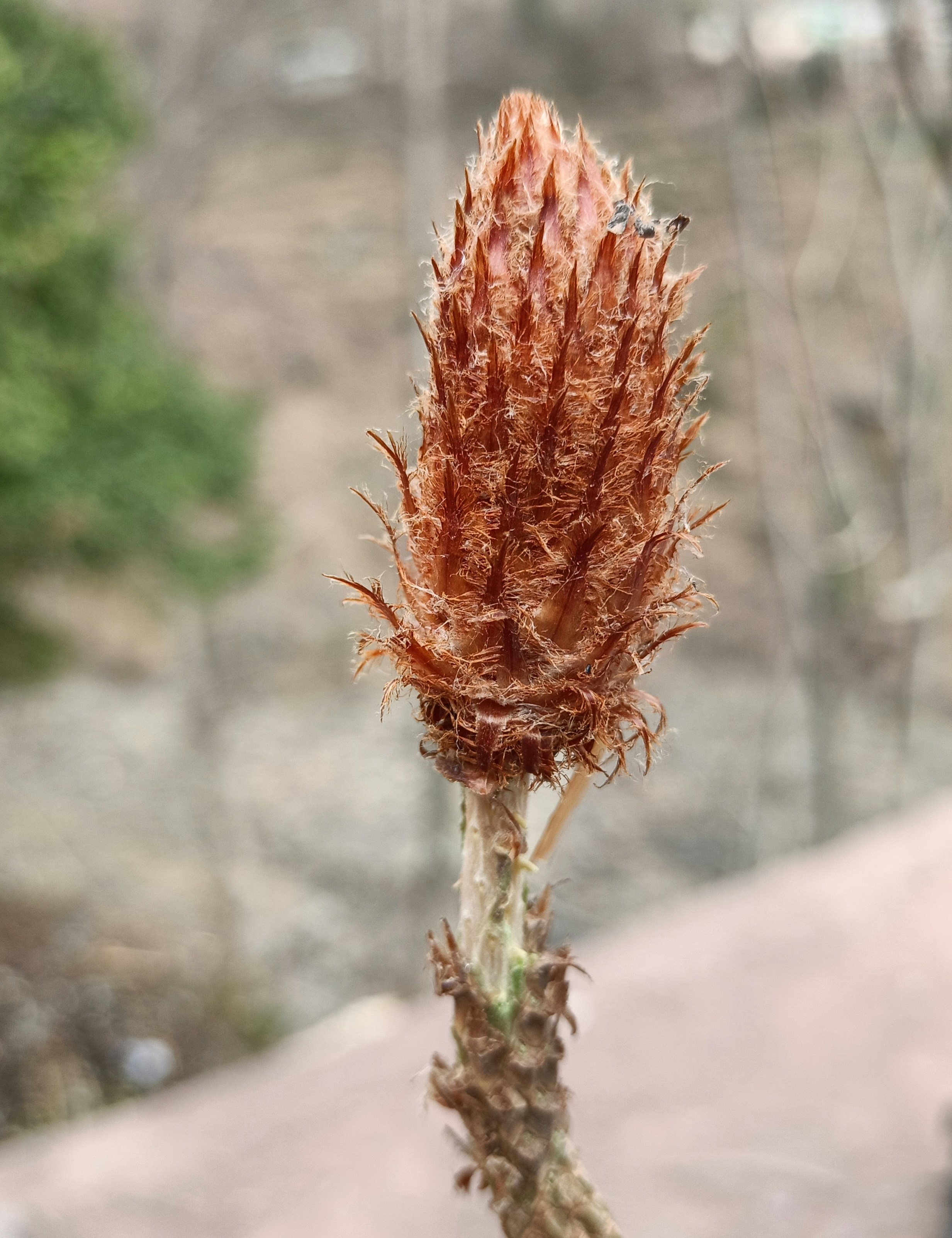 Photo by 5021986rizwan