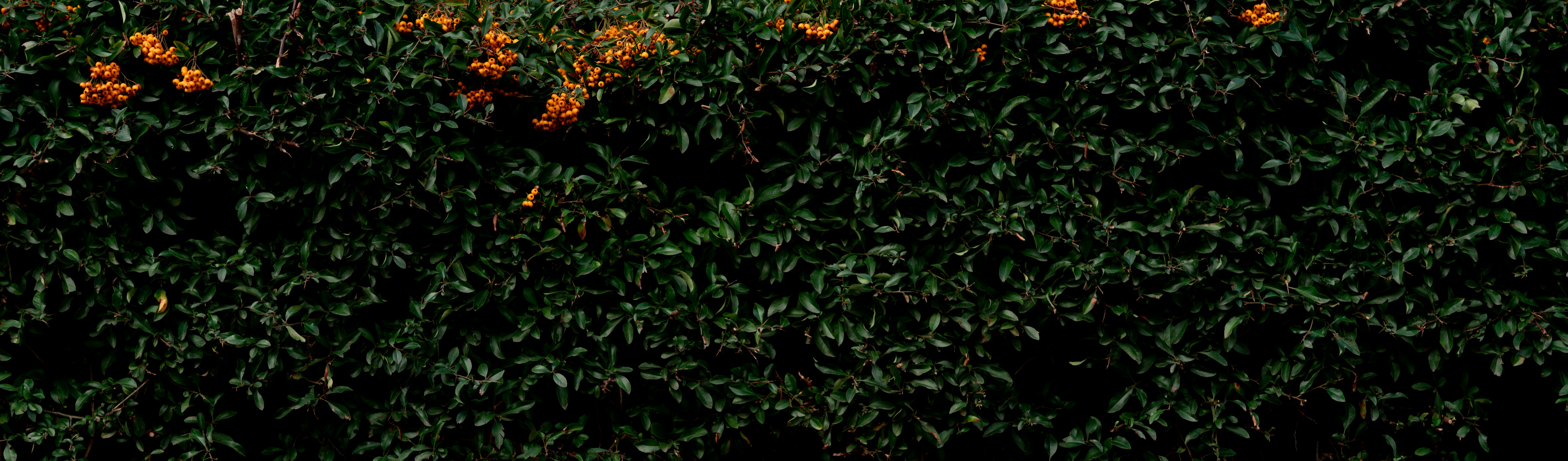 Photo by hyggesalpaka