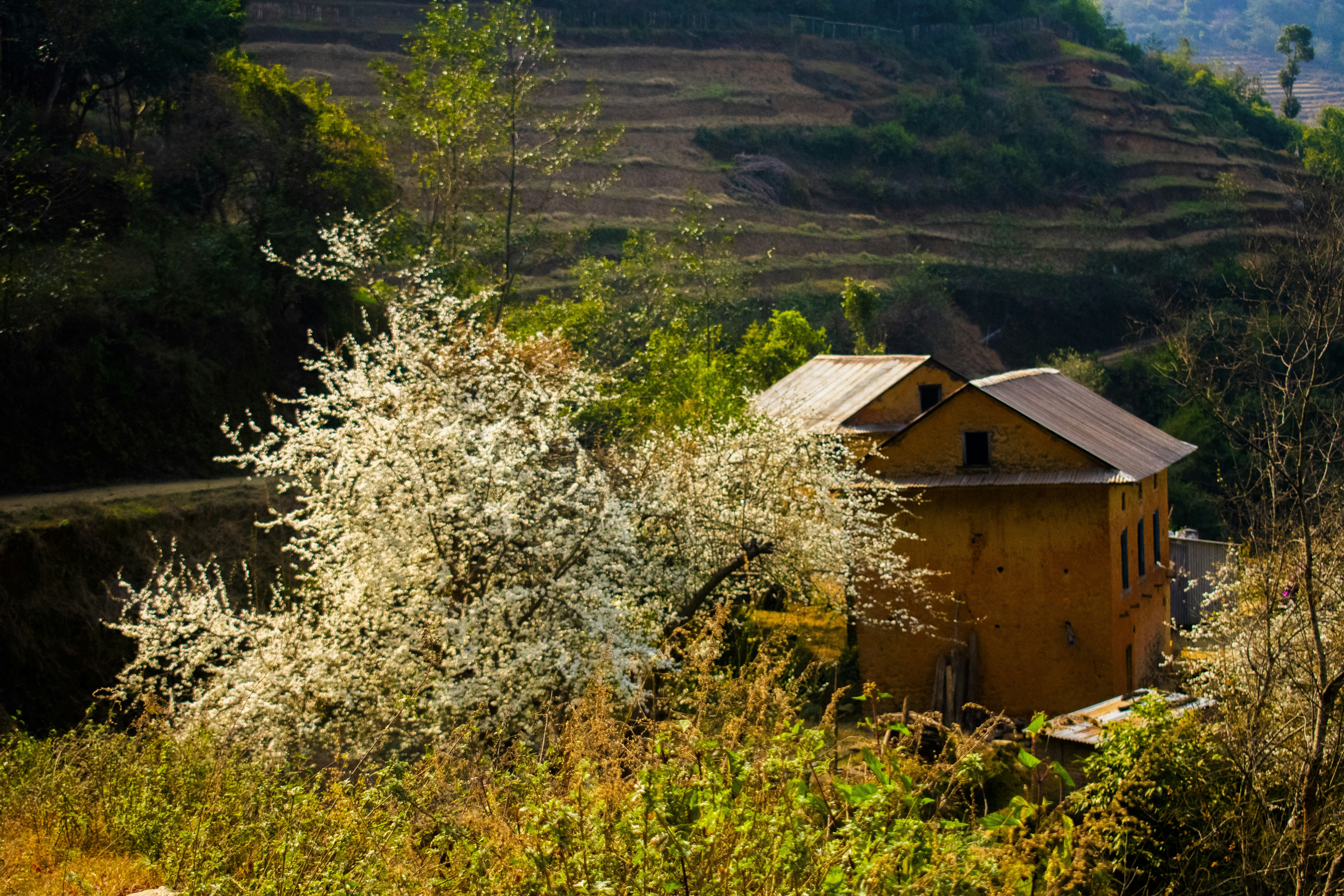 Beautiful ancient village