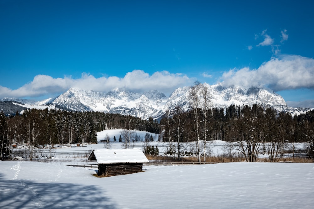 a snowy field with a cabin in the foreground and mountains in the background