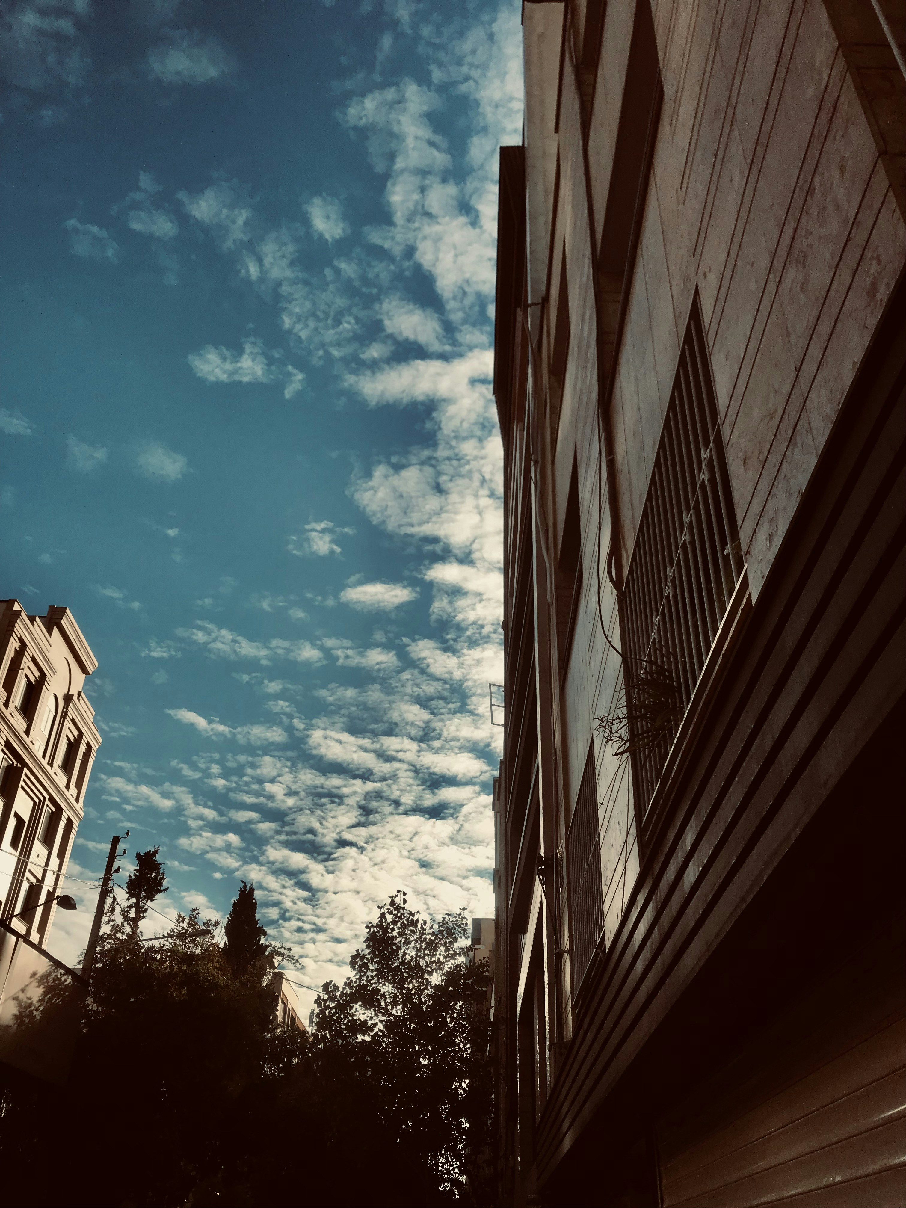 Photo by daniz_toska