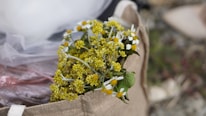 A close-up of freshly picked wildflowers arranged in a rustic bouquet.