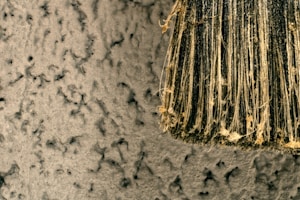 Beige Wall Paint