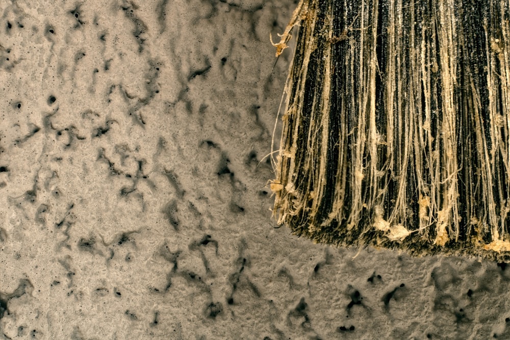 a close up of a broom on a beach