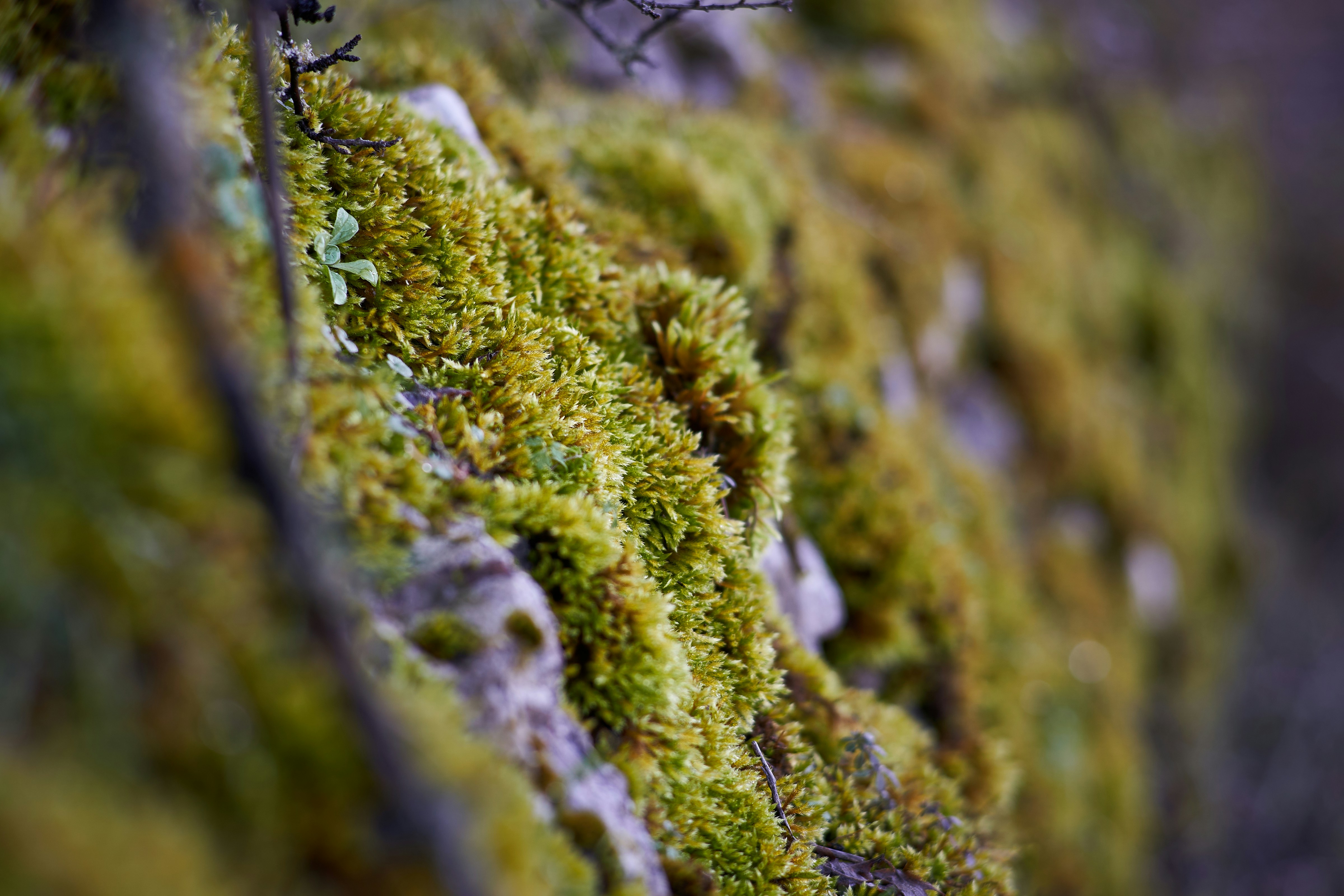 Photo by valeriano78