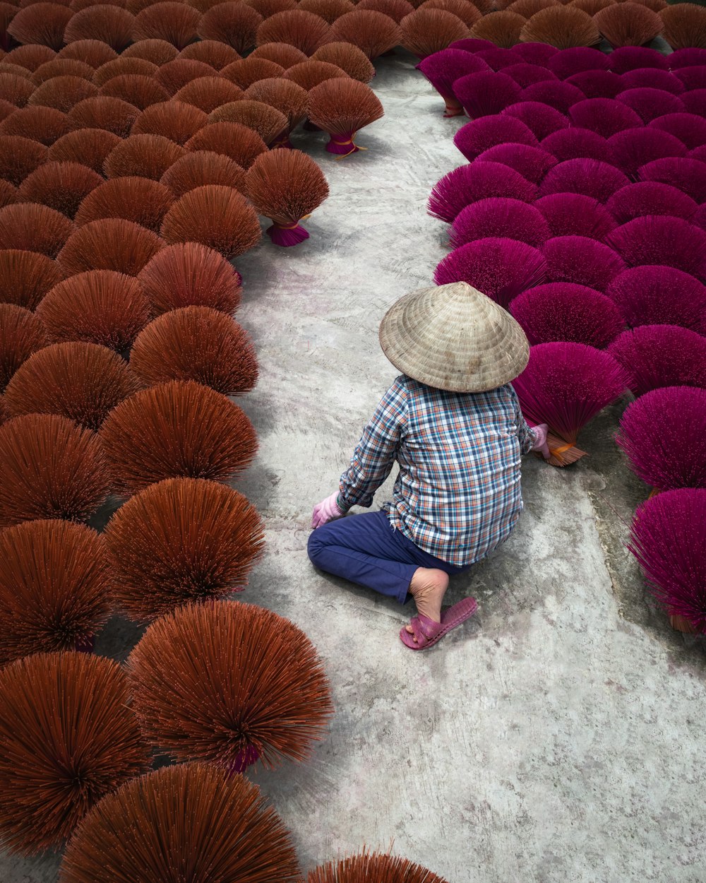 a person sitting on the ground in front of a field of purple flowers