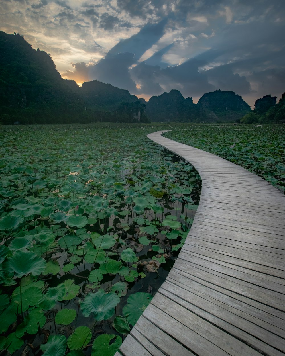 a wooden walkway leading to a large body of water