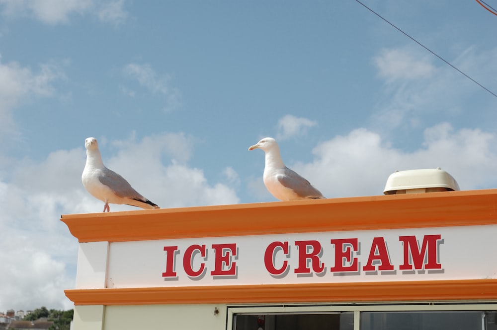 two seagulls sitting on top of an ice cream shop