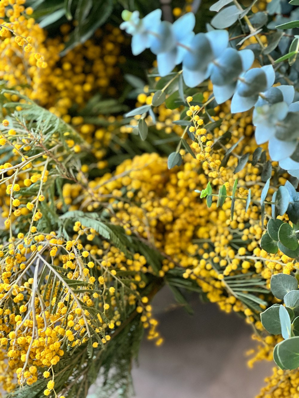 a close up of a bunch of yellow flowers