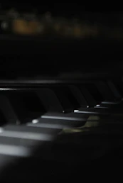 a close up of the keys of a piano