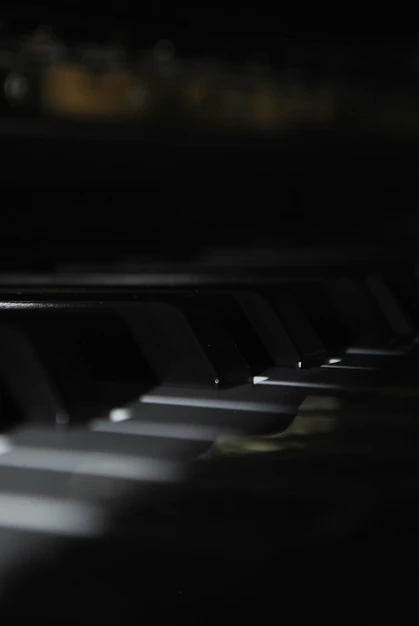 a close up of the keys of a piano