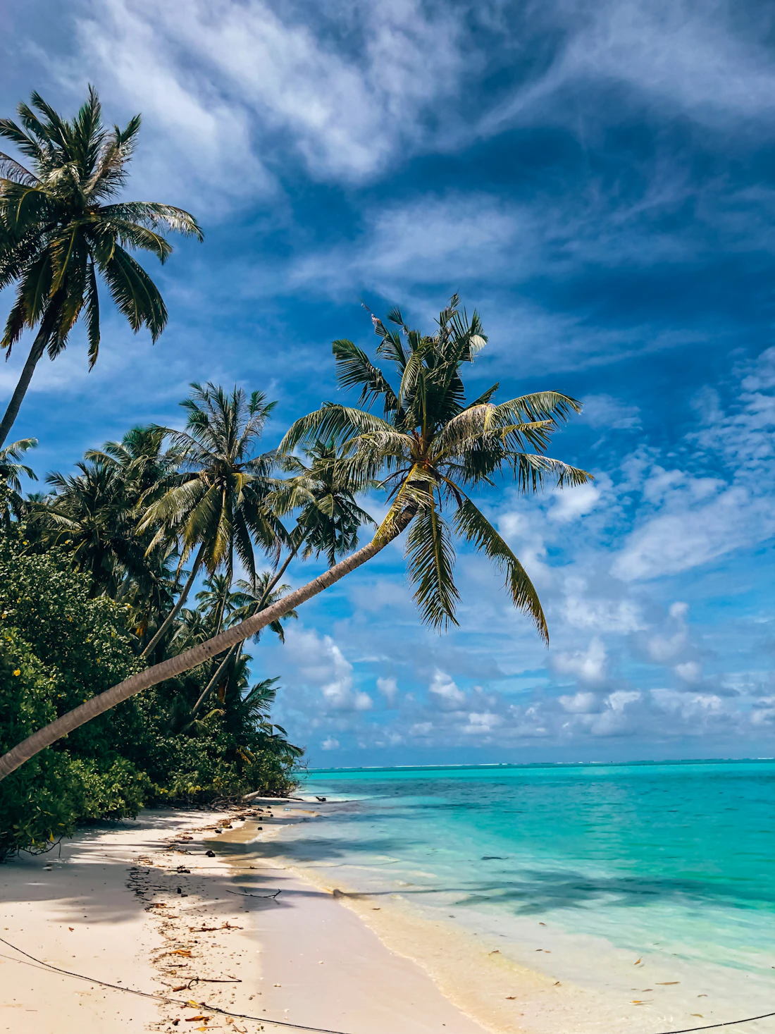 Demo: How to prepare for an international trip